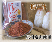 和歌山特産　梅ごま